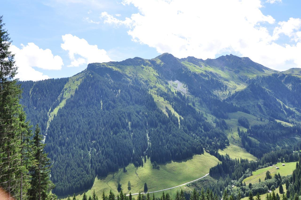 Almhuette Lengau Vila Saalbach-Hinterglemm Exterior foto
